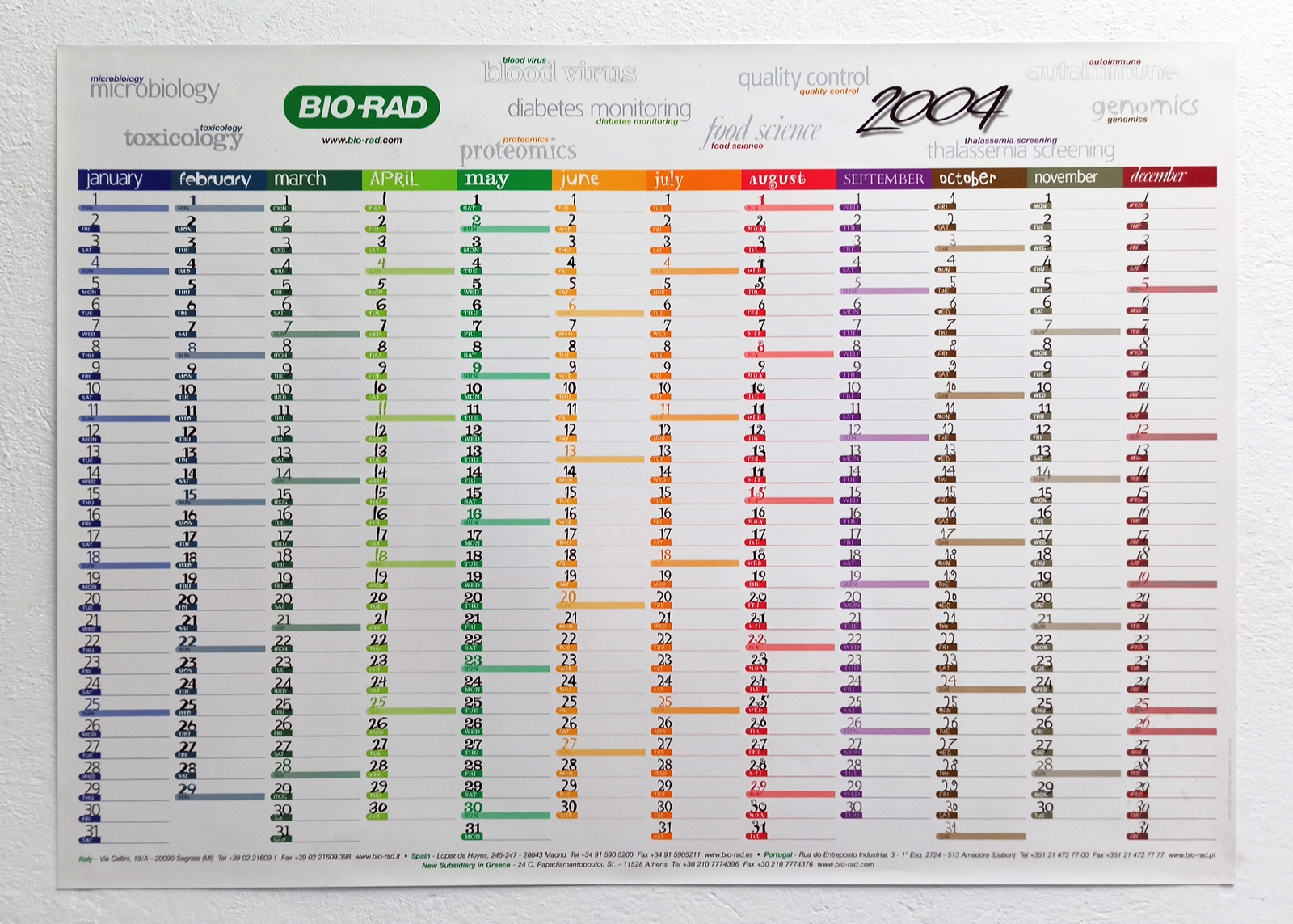 Planning BIO-RAD 2004