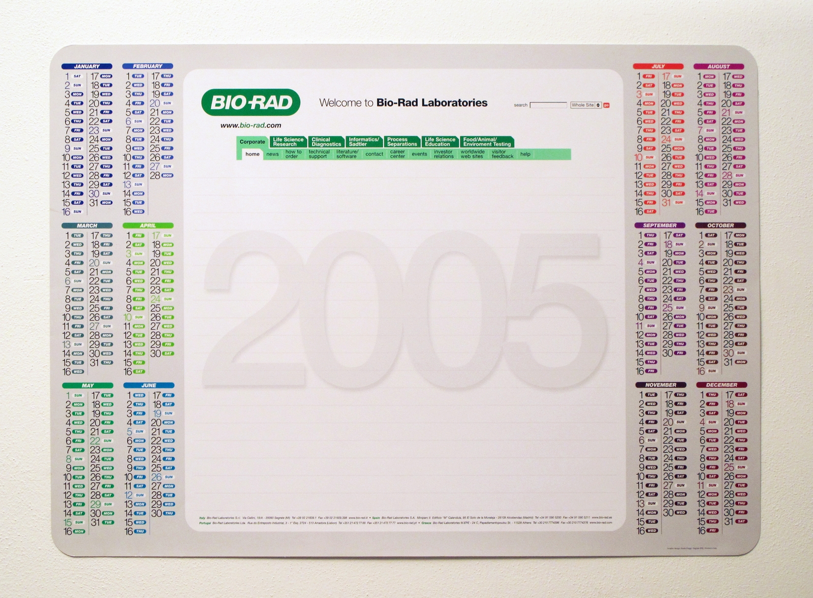 Planning BIO-RAD 2005