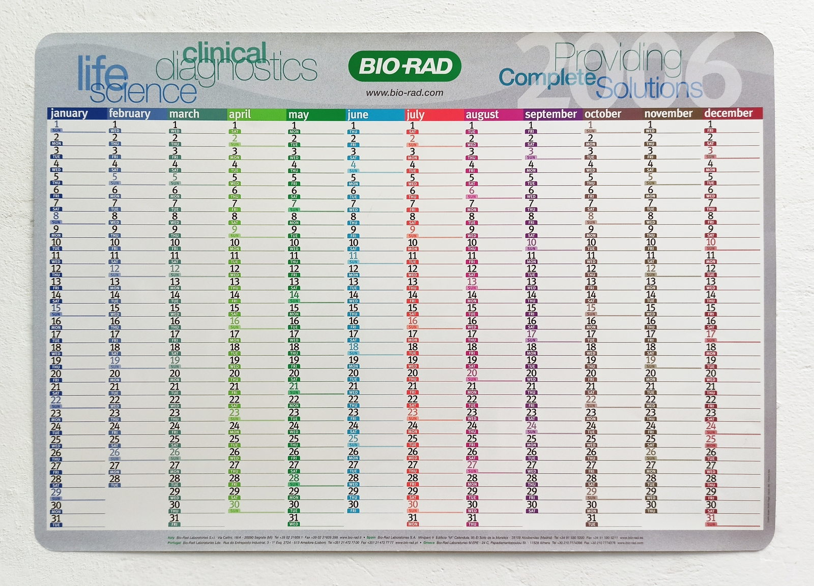 Planning BIO-RAD 2006